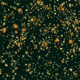 Black Iris - 16 oz Mayco Jungle Gem Crystal Glaze